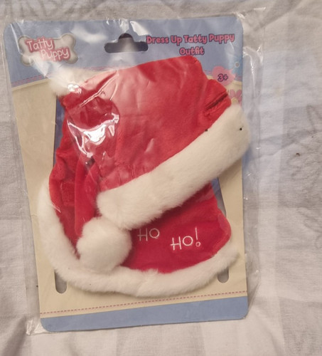 Tatty teddy puppy - tatty,